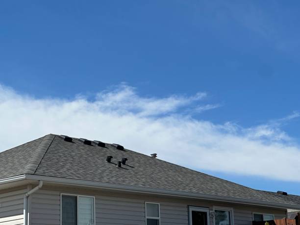 4 Ply Roofing in Luling, LA